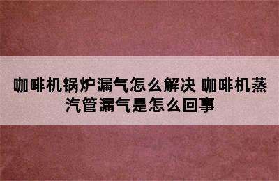 咖啡机锅炉漏气怎么解决 咖啡机蒸汽管漏气是怎么回事